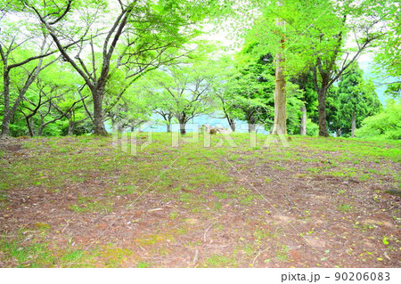 若桜鬼ヶ城　続日本100名城 90206083