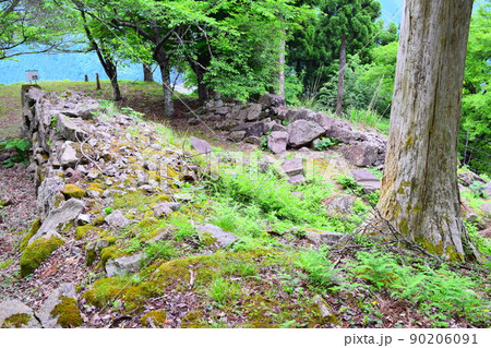 若桜鬼ヶ城 続日本100名城 若桜鬼ヶ城 続日本100名城 90206091