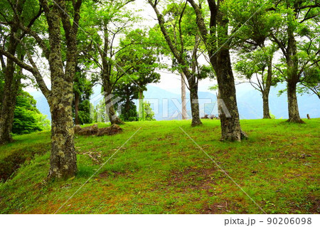 若桜鬼ヶ城　続日本100名城 90206098