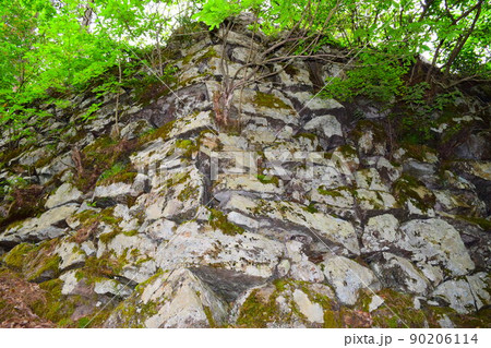 若桜鬼ヶ城　続日本100名城 90206114