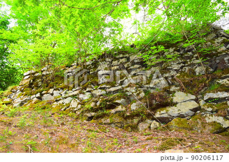 若桜鬼ヶ城 続日本100名城 若桜鬼ヶ城 続日本100名城 90206117