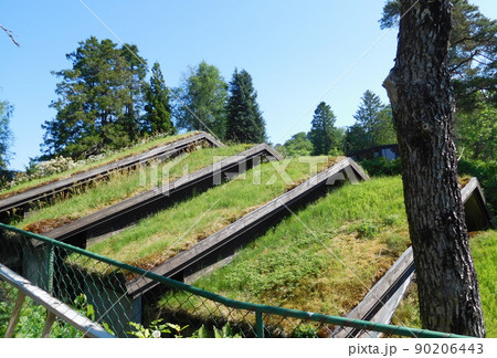 ノルウェー ベルゲン グリーグの家 Troldhaugen 草屋根 グリーンリーフ ノルウェー ベルゲン グリーグの家 Troldhaugen 草屋根 グリーンリーフ 90206443