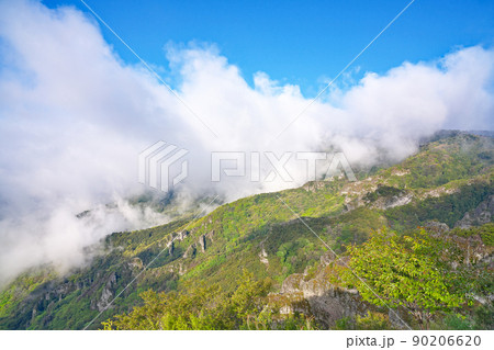 【小豆島 寒霞渓 (第一展望所からの風景)】 香川県小豆郡小豆島町神懸通乙 90206620