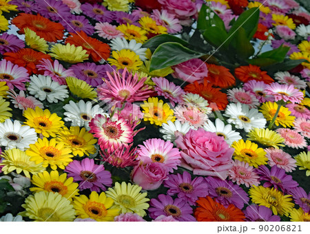 光の帯の中に浮かぶ花々。手水鉢の水面に浮かぶ、白・ピンク・黄色の花弁が美しい、彩り豊かな花手水です。 光の帯の中に浮かぶ花々。手水鉢の水面に浮かぶ、白・ピンク・黄色の花弁が美しい、彩り豊かな花手水です。 90206821