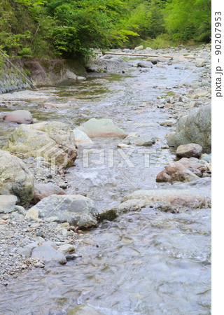 水無川の渓流 水無川の渓流 90207953