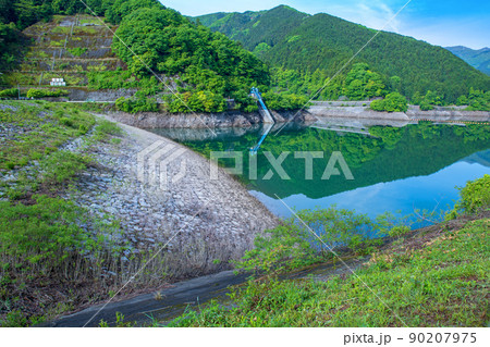 有馬ダム　名栗湖　水鏡　春　新緑の風景 90207975