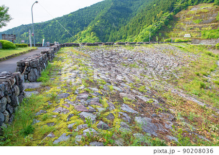有馬ダム 名栗湖 湖畔 春 新緑の風景 有馬ダム 名栗湖 湖畔 春 新緑の風景 90208036