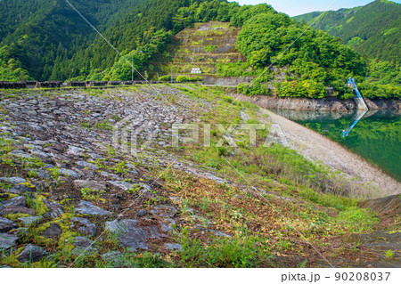 有馬ダム 名栗湖 湖畔 春 新緑の風景 有馬ダム 名栗湖 湖畔 春 新緑の風景 90208037