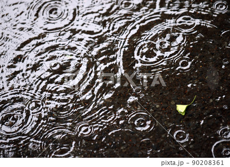 雨と水たまり 90208361