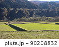 田園　十日町　新潟 90208832