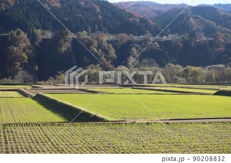 田園　十日町　新潟 90208832