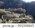 田園　十日町  旧中里村　新潟県 90208845