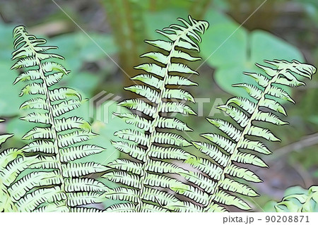 パステル調　”クサソテツ”　イラストイメージ 90208871