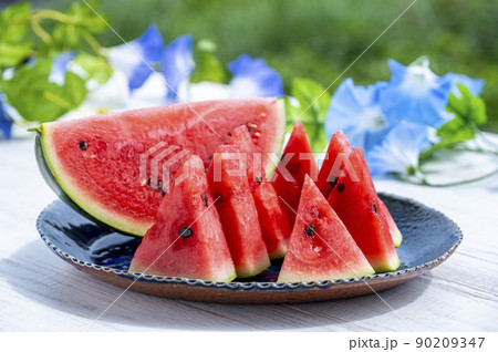 スイカ　夏の風物詩 90209347