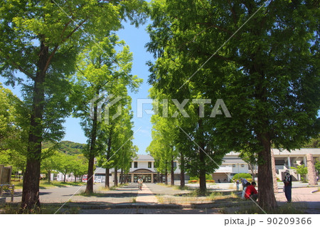 北九州市文化記念公園の本館と林道 北九州市文化記念公園の本館と林道 90209366