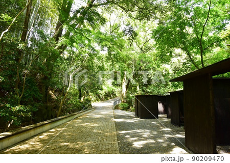 湯河原町　万葉公園湯河原惣湯周遊路と林間テラスと新緑 90209470