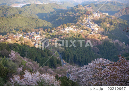 【奈良県 吉野郡】吉野山の桜 【奈良県 吉野郡】吉野山の桜 90210067