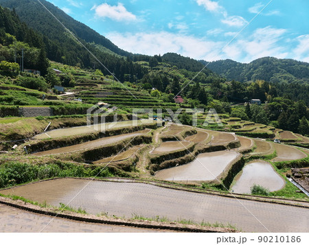 山の中の棚田の田植え風景 山の中の棚田の田植え風景 90210186