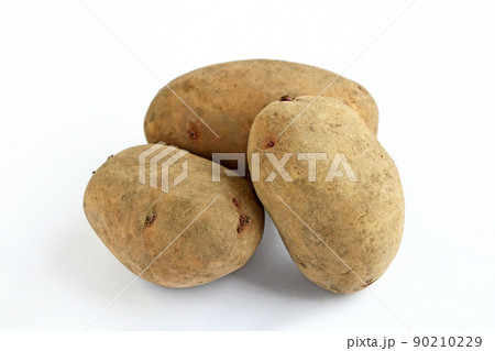 じゃがいも（はるか） 90210229