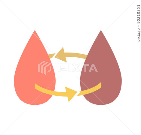 血液の循環 血液の循環 90210251