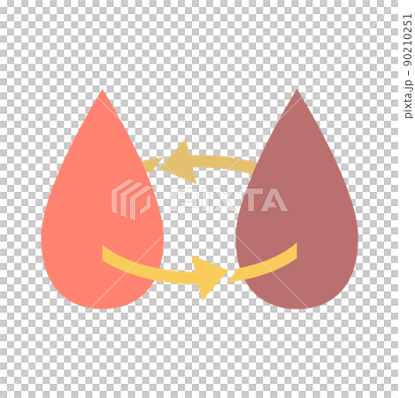 Blood circulation Blood circulation 90210251