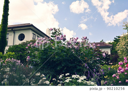 横浜・港の見える丘公園 90210256