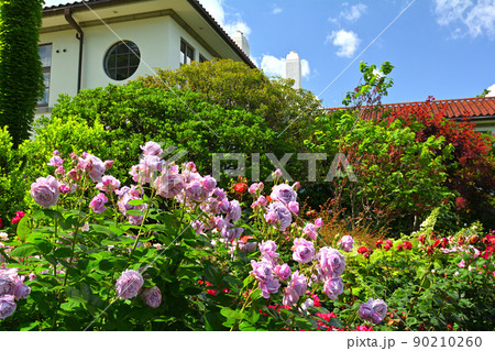 横浜・港の見える丘公園 90210260