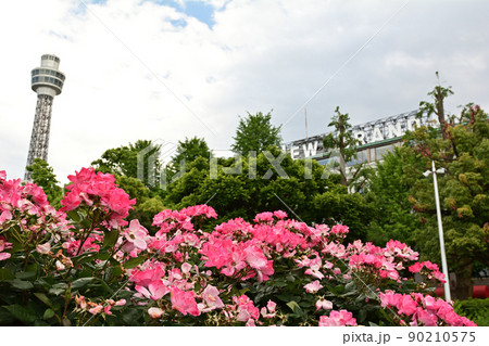 横浜・山下公園 90210575