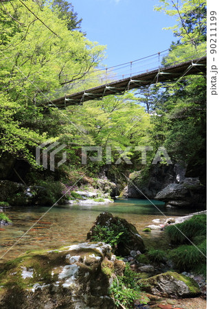 新緑の小田深山渓谷 新緑の小田深山渓谷 90211199