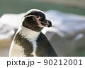 ペンギン 90212001