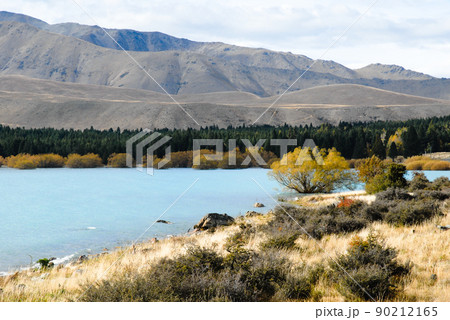 秋のテカポ湖(ニュージーランド) 秋のテカポ湖(ニュージーランド) 90212165