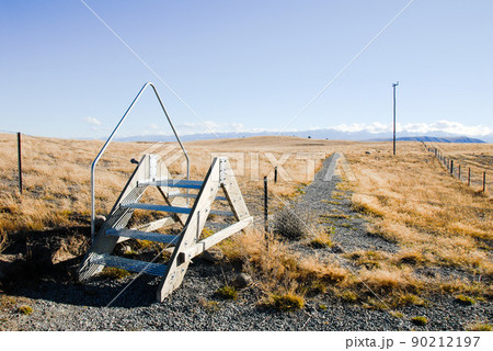 秋のテカポ湖畔の牧草地の中の道（ニュージーランド） 90212197