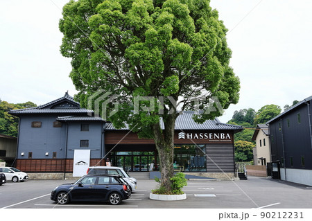 HASSENBA(発船場人吉球磨川) HASSENBA(発船場人吉球磨川) 90212231