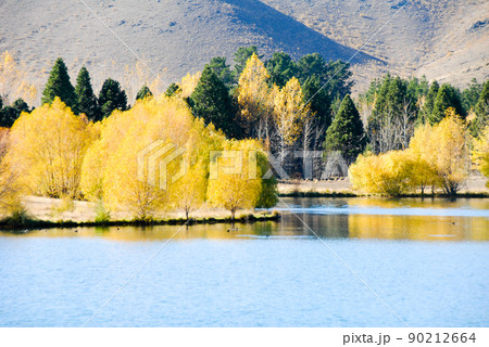 秋のニュージーランド南島中央部 ルアタニファ湖の紅葉(ニュージーランド) 秋のニュージーランド南島中央部 ルアタニファ湖の紅葉(ニュージーランド) 90212664