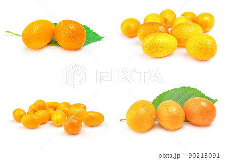 Set of cumquats isolated on a white background 90213091