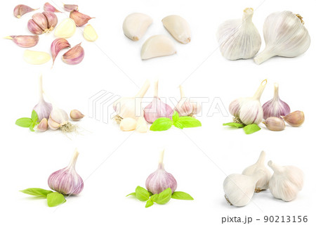 Collection of Garlic isolated on a white background with clipping path 90213156