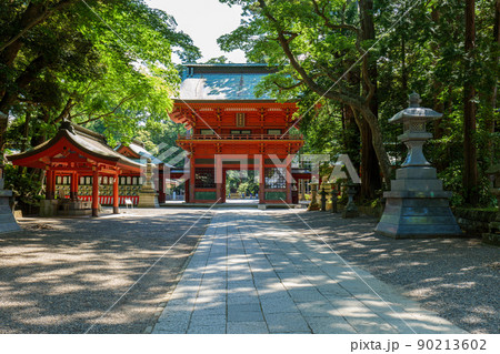 初夏の鹿島神宮の参道と楼門 茨城県鹿嶋市の写真素材