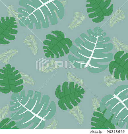熱帯の植物 モンステラの背景イラスト ハワイアン風な壁紙 のイラスト素材
