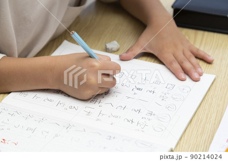 宿題をやる小学生の手元 90214024