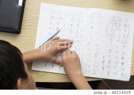 勉強する小学生 勉強する小学生 90214029