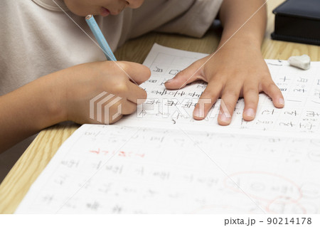 勉強する小学生 90214178