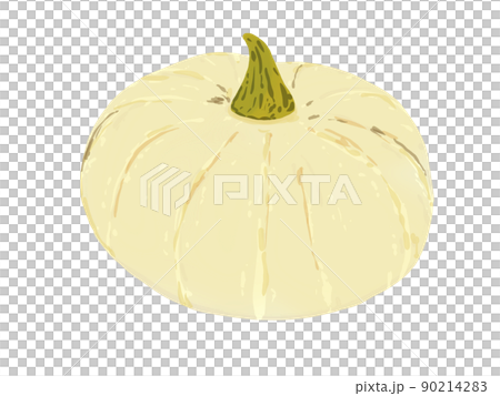 Vegetable autumn white pumpkin real PNG Vegetable autumn white pumpkin real PNG 90214283