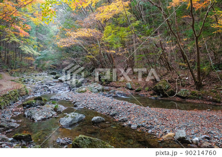 百間滝　大島川　紅葉　 90214760
