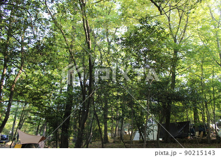 キャンプ　森林浴　杜のテラス 90215143