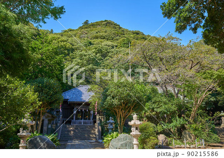 神奈川県大磯町の高来神社(たかくじんじゃ)本殿を境内から見る 90215586