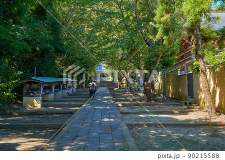 神奈川県大磯町の高来神社(たかくじんじゃ)本殿を参道から見る 90215588