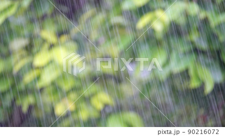 雨脚 90216072