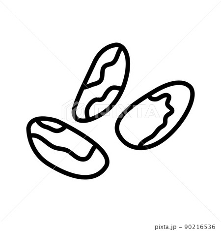 Brazil nuts outline icon isolated on white. Bertholletia. 90216536