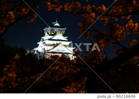 大阪城の夜桜 大阪城の夜桜 90216606