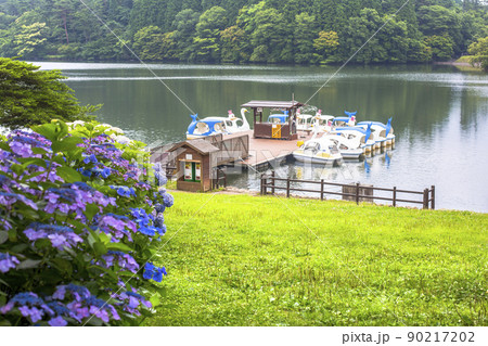 志高湖と紫陽花 90217202
